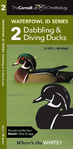 Cornell Lab of Ornithology Waterfowl Id Series: 2 Dabbling & Diving Ducks