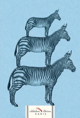 Zebra: Ancient Engraving of Zebras on Blue