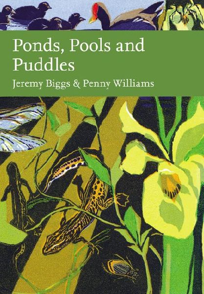 PONDS POOLS & PUDDLES_NN LI HB