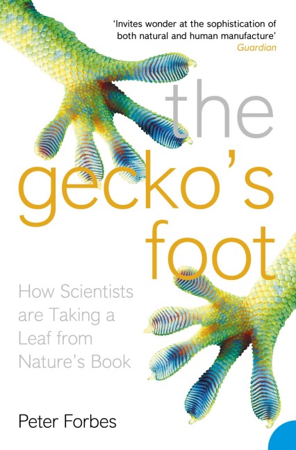 The Geckos Foot: How Scientists are Taking a Leaf from Natures Book