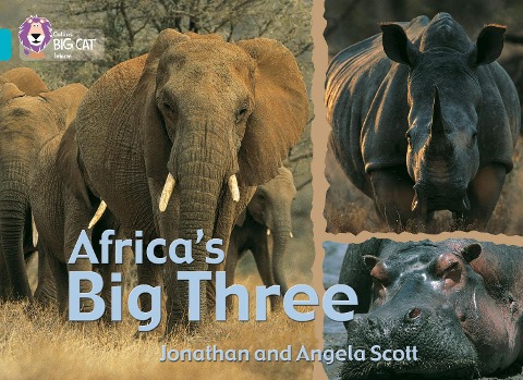 Africas Big Three: Band 07/Turquoise