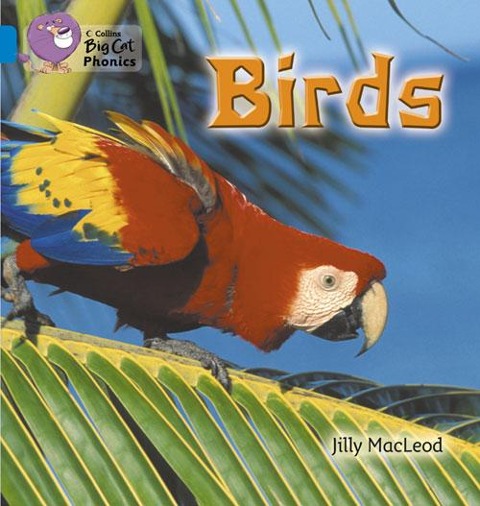 Birds: Blue / Band 4