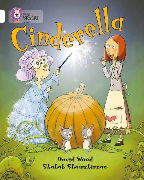 BIG CAT - CINDERELLA