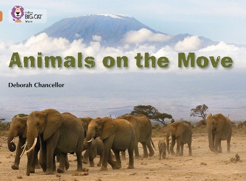 BIG CAT - ANIMALS ON MOVE