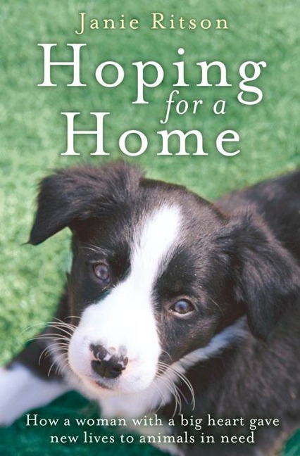 Hoping For A Home: How a woman with a big heart gave new lives to animals in need