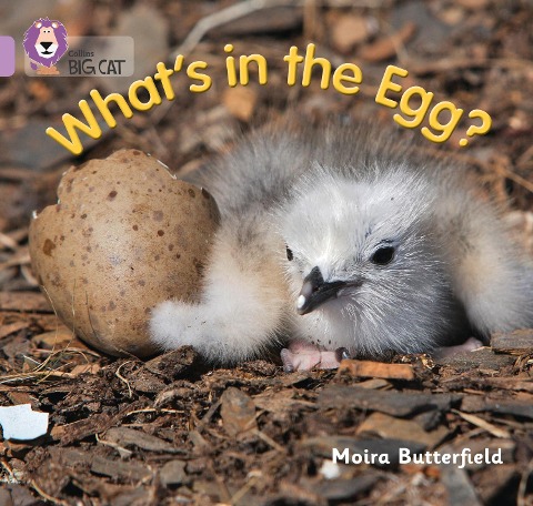 What's in the Egg?: Band 00/Lilac