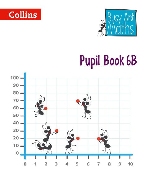 BUSY ANT MATHS PB6B