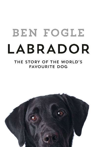 Labrador: The Story of the Worlds Favourite Dog