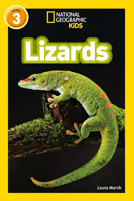 Lizards: Level 3