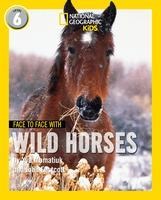 Face to Face with Wild Horses: Level 6
