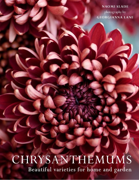 CHRYSANTHEMUMS HB: Beautiful varieties for home and garden