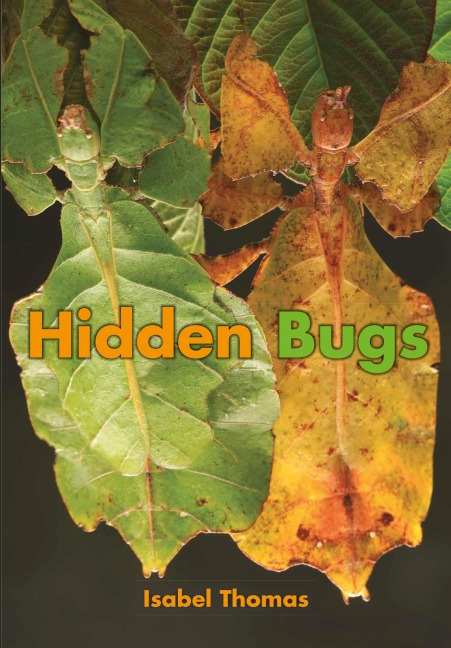 Hidden Bugs
