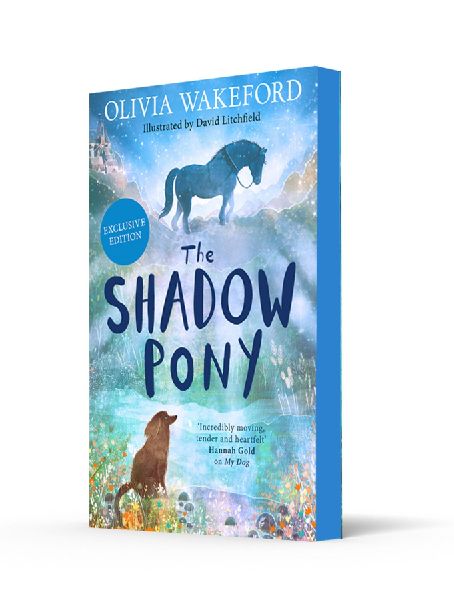 The Shadow Pony