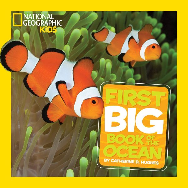Little Kids First Big Book of The Ocean: Fact-Filled Fun Book About Amazing Sea Life and Underwater Wonders
