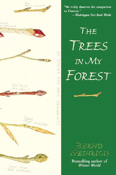 Trees in My Forest, The