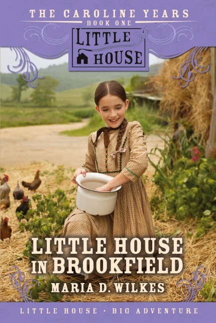 Little House in Brookfield