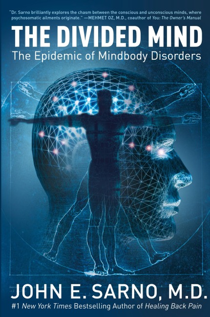 The Divided Mind: The Epidemic of Mindbody Disorders