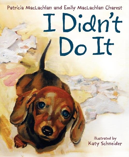 I Didnt Do It