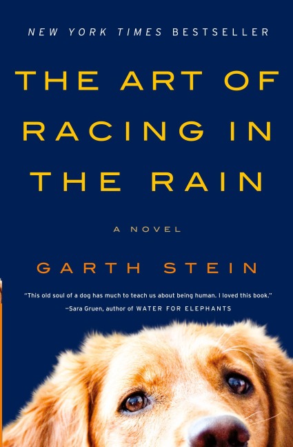 The Art of Racing in the Rain