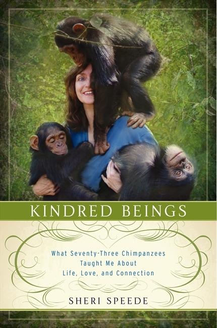 Kindred Beings: What Seventy-Three Chimpanzees Taught Me about Life, Love, and Connection