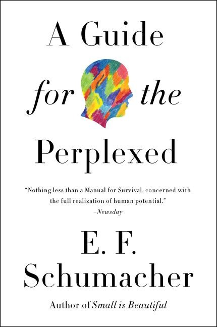 Guide for the Perplexed, A