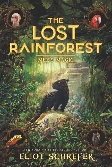 The Lost Rainforest #1: Mezs Magic