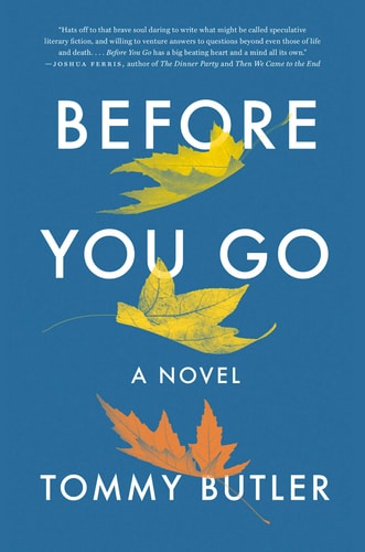 Before You Go A Novel
