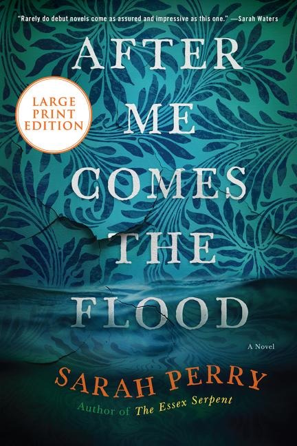 After Me Comes the Flood LP