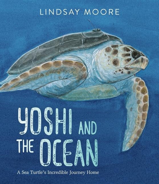 Yoshi and the Ocean: A Sea Turtles Incredible Journey Home