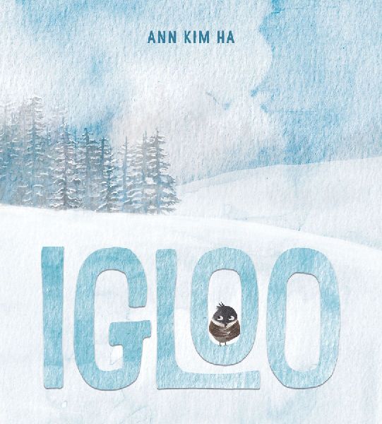 Igloo: A Home Built from Kindness and a Giant Snowball