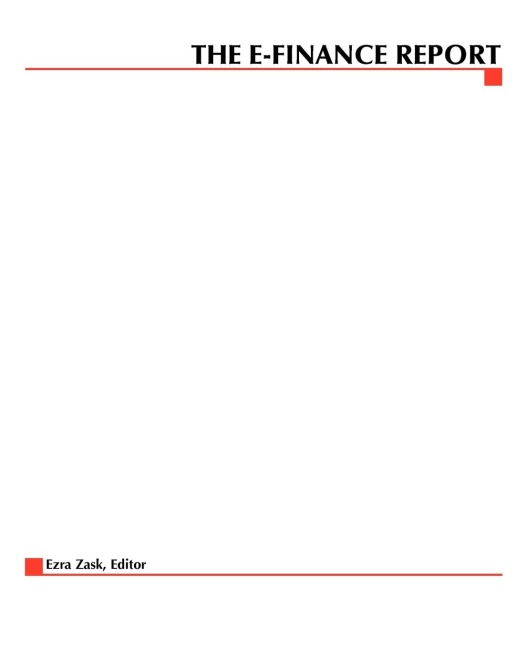 The E-Finance Report