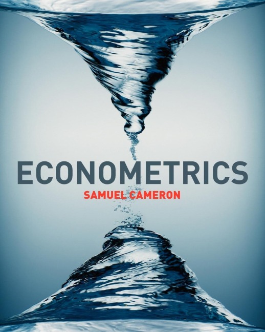 Econometrics with Online Learning Centre