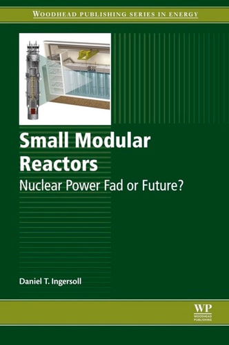Small Modular Reactors Nuclear Power Fad or Future?