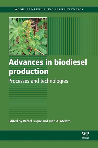 Advances in Biodiesel Production Processes and Technologies