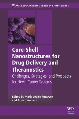 Core-Shell Nanostructures for Drug Delivery and Theranostics Challenges, Strategies and Prospects for Novel Carrier Systems