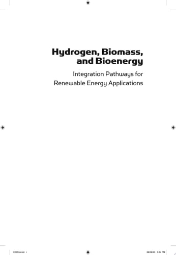 Hydrogen, Biomass and Bioenergy Integration Pathways for Renewable Energy Applications