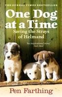 One Dog at a Time: An inspiring true story of saving the strays of Afghanistan