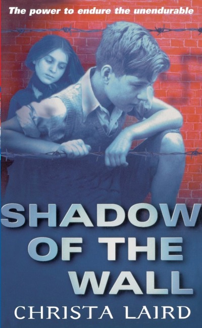 Shadow Of The Wall