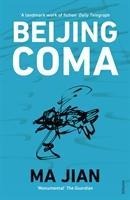 Beijing Coma