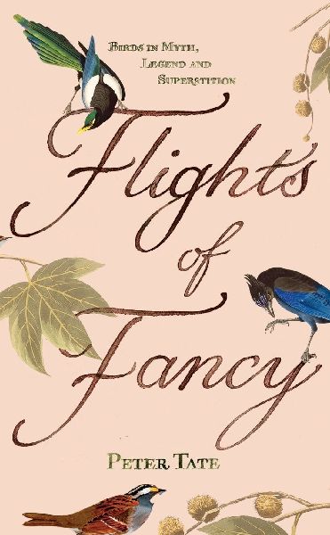 Flights of Fancy
