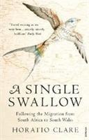 A Single Swallow: Following An Epic Journey From South Africa To South Wales