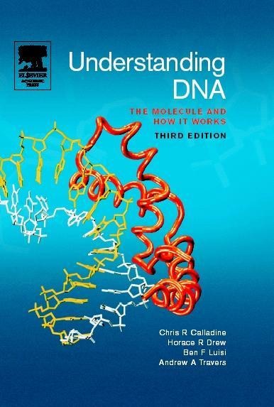 Understanding DNA: The Molecule and How It Works