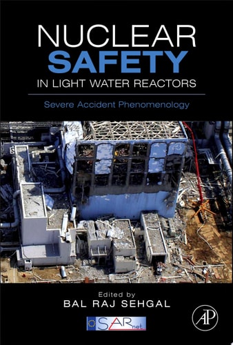 Nuclear Safety in Light Water Reactors Severe Accident Phenomenology