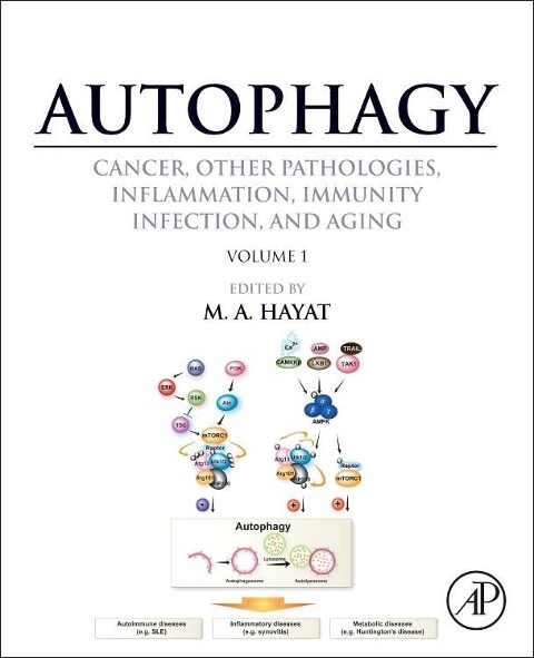 Autophagy: Cancer, Other Pathologies, Inflammation, Immunity, Infection, and Aging: Volume 1 - Molecular Mechanisms