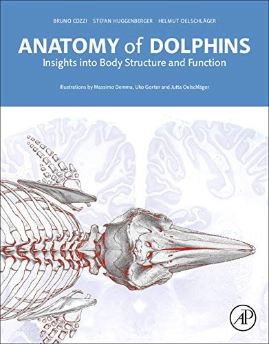 Anatomy of Dolphins Insights into Body Structure and Function