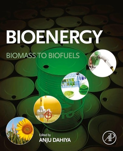 Bioenergy Biomass to Biofuels