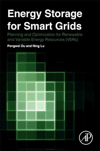 Energy Storage for Smart Grids Planning and Operation for Renewable and Variable Energy Resources (VERs)
