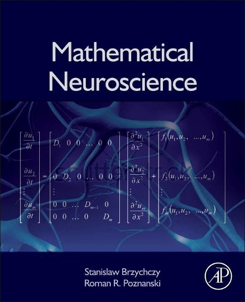 Mathematical Neuroscience