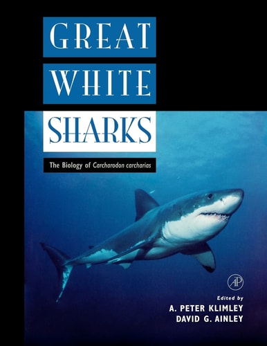 Great White Sharks The Biology of Carcharodon carcharias