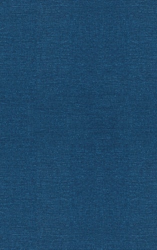 The Book of Squares. An annotated translation into modern English by L. E. Sigler